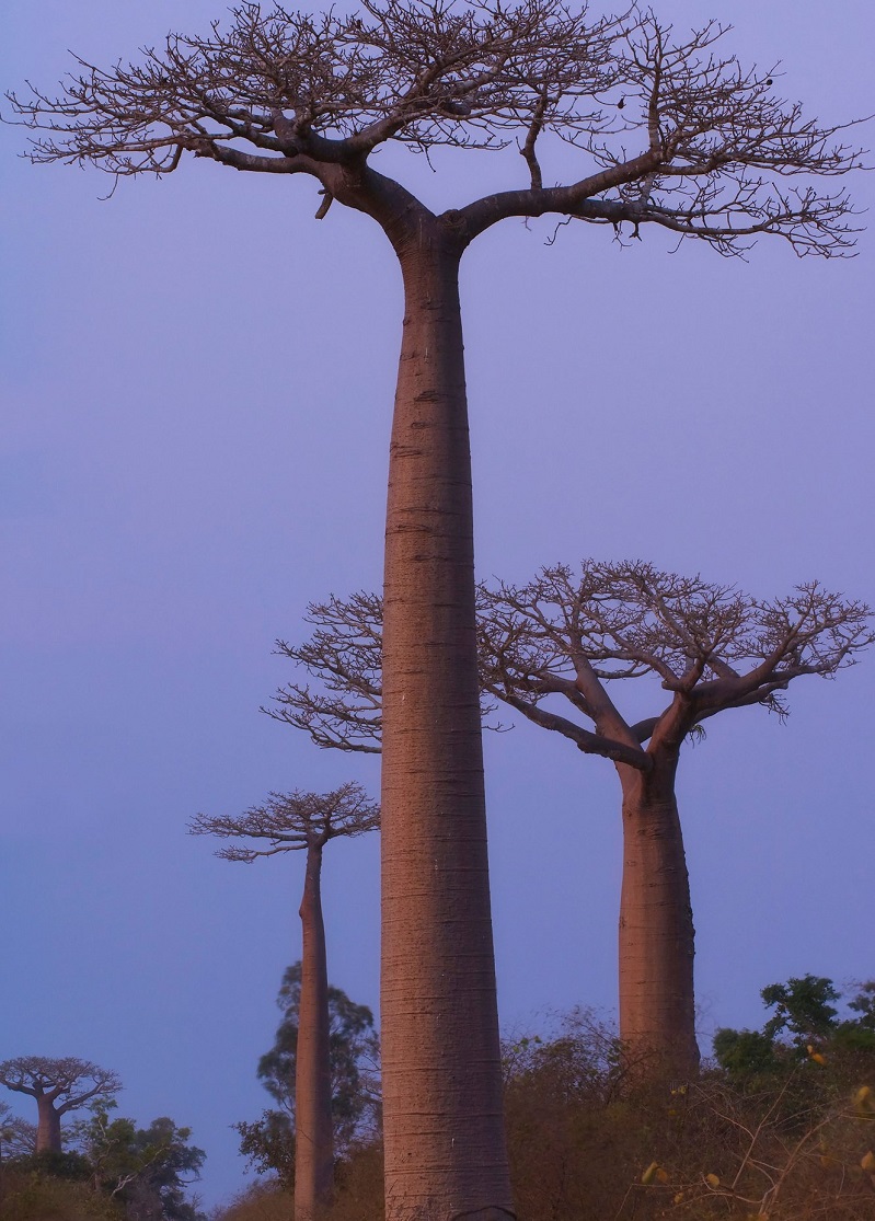 Madagascar island 2017