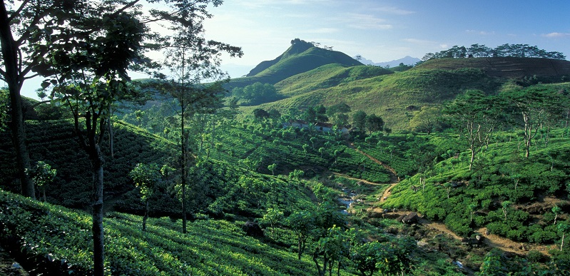 Sri Lanka 2017